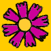 CC flower